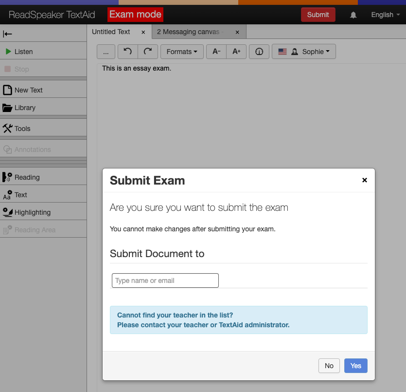 Screenshot of the essay exam feature