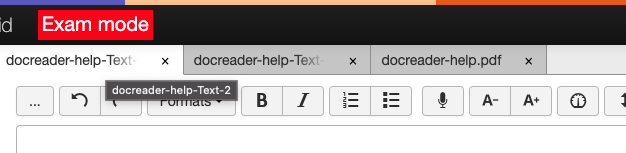 Screenshot of tabs in TextAid where two text editor tabs have been opened and are connected with the originally shared exam through their filename.