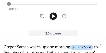 Screenshot of the studio with the focus on the initial pause editor.